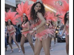 Carnaval de Mula 2014